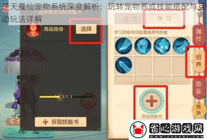 逆天魔仙寵物系統深度解析