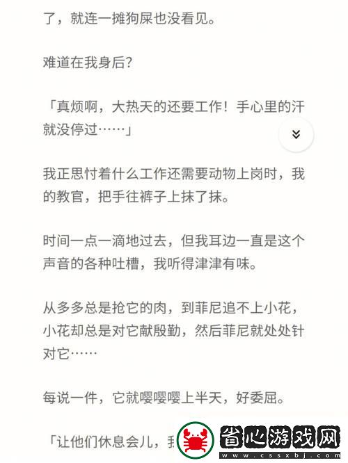 挑逗與禁忌的邊界——“爽好爽別拔出來男男教官”的秘聞