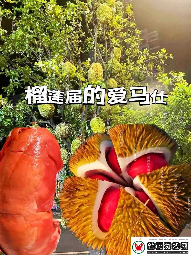 超精彩榴蓮視頻