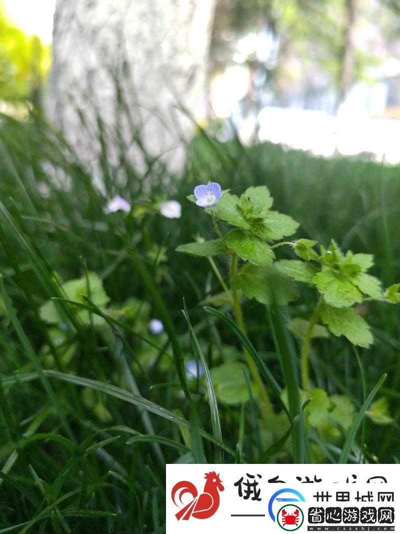 芳草有萋萋