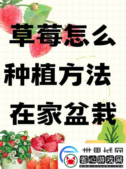 將草莓放在小洞里榨草莓汁可以嗎