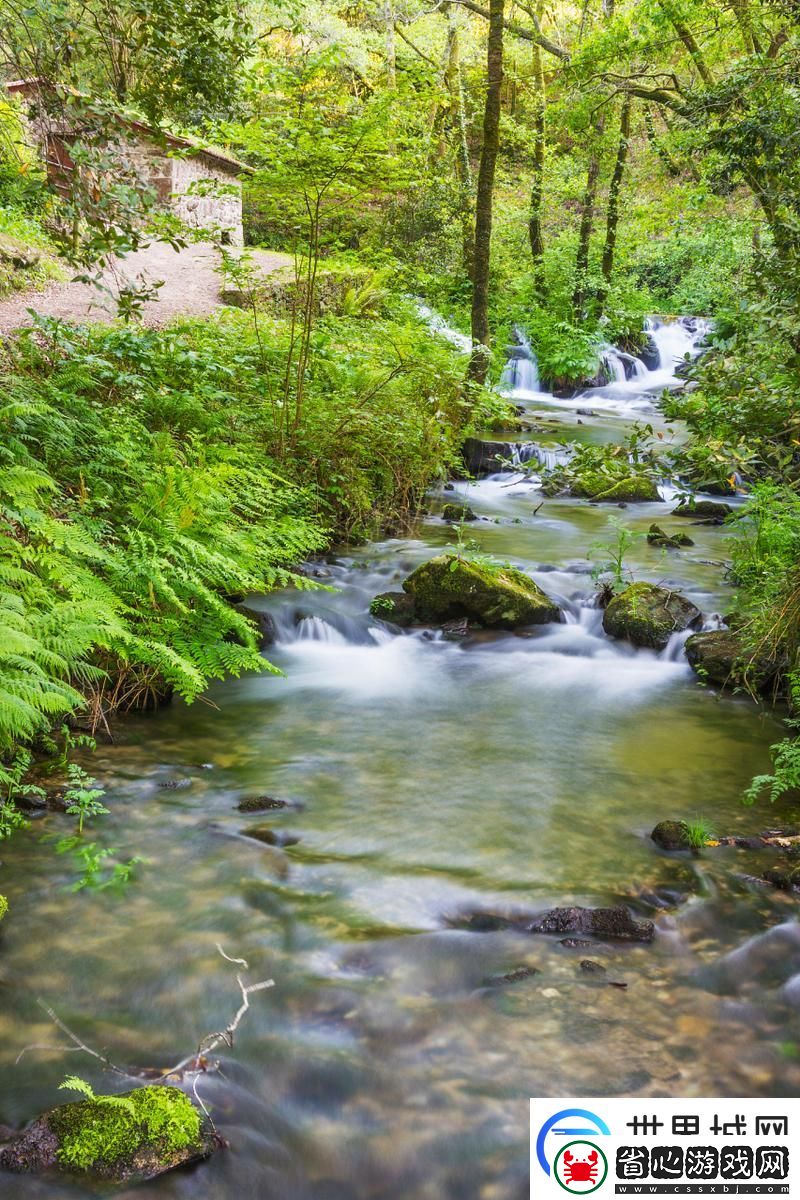 兩峰夾小溪地濕又無泥