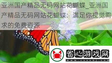 亞洲國產(chǎn)精品無碼站花蝴蝶