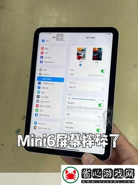 如何確保mini6的秘密入口安全