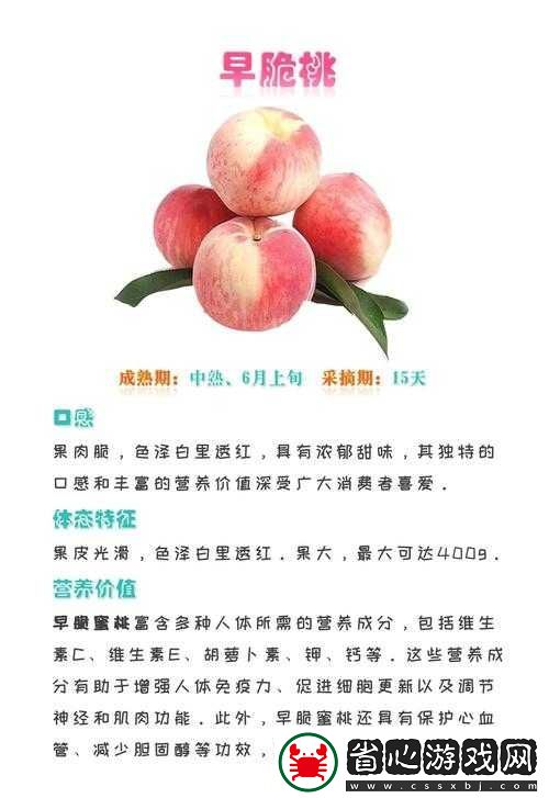 桃子移植大全最新入口是什么