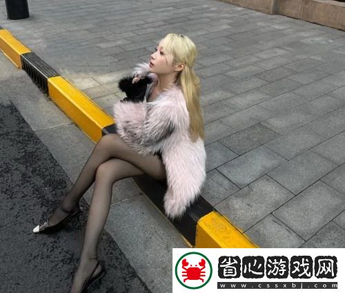 揭秘美國人與動物膠配方的美味與健康之旅