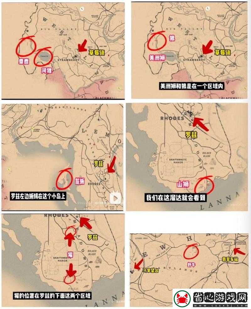 荒野大鏢客2香茶藨子究竟分布在哪