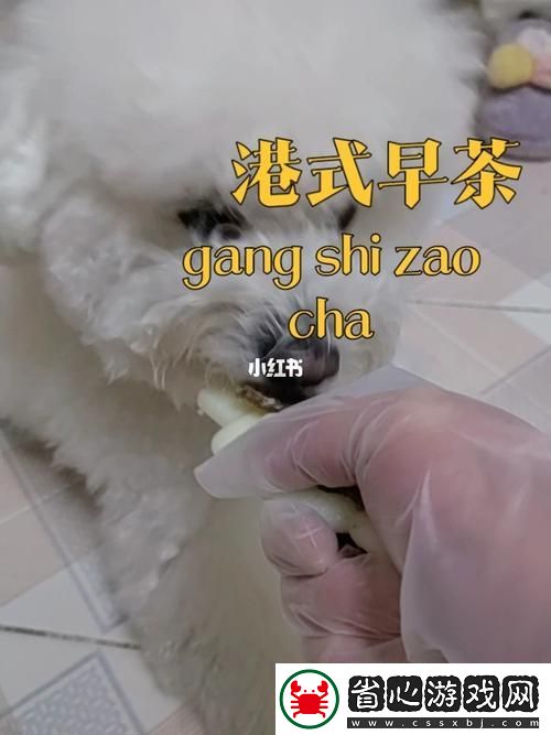 探秘美國人與動物膠配方大全圖片的奇妙世界