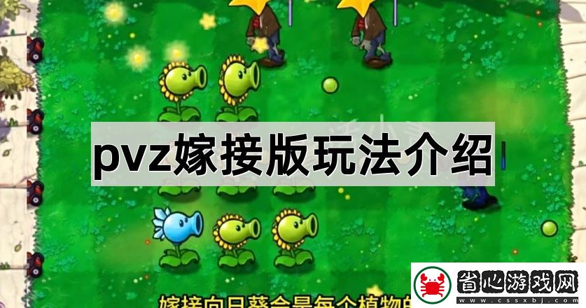 pvz嫁接版玩法介紹